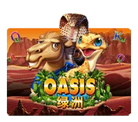 DEMO OASIS